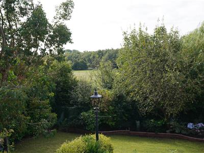 Picture 23
